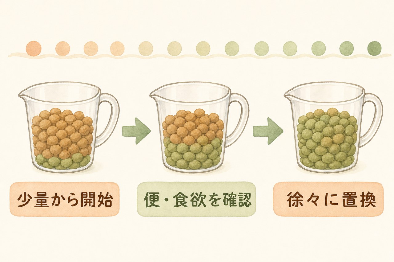 新旧フードの割合を少しずつ変える3段階の図