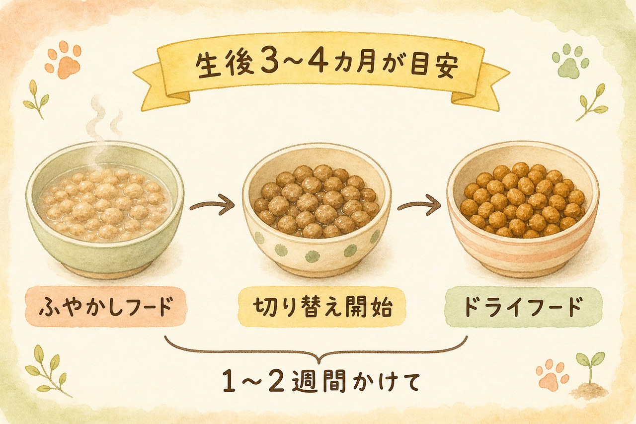 ふやかしからドライへ切り替える流れの図解